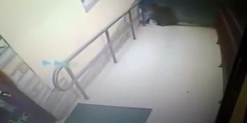 Drunken woman had quarrel with security guys