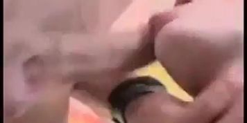 fucking like rabbits