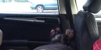 When she wants cock you give her dick
