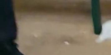 Pissed Dude Gets his Nice Long Dick Wanked in Public during Oktoberfest