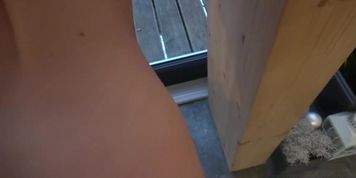 New Wife Is A Wild Wife Watch The Entire Drama 003