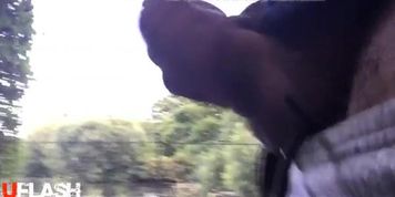 public dickflash