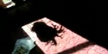 Amatuer wife sucks the brown off