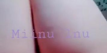 miinu_inu