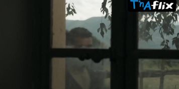 Laetitia Casta Breasts Scene  in Lincroyable Histoire Du Facteur Cheval