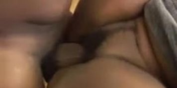 Shorty vs Stallion (round 1) (Chocolate Stallion)