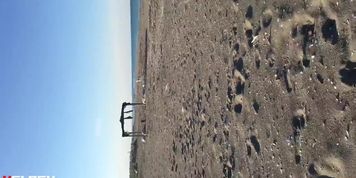 Masturbation in clothed beach