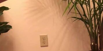 Wife pissing all over husbands cock to cumshot