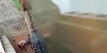 Debajo del puente