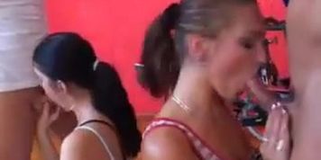 Sex Party