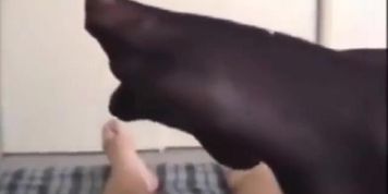 Queeny Love cumpilation