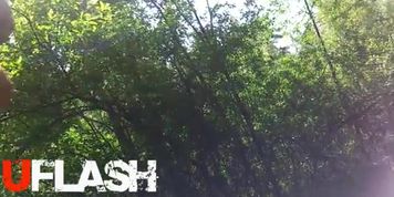 Flash in the forest
