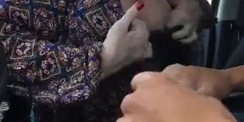 Hooker gives an incredible bareback blowjob