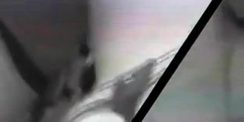 upskirt 2