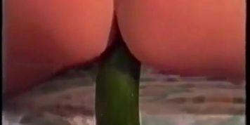 Sandra Toys 1