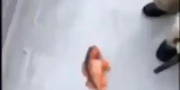HOT SEXY ANIME GIRL TEASES YOU