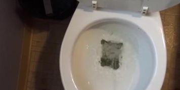 Dbuddy pissing