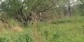 Naked man masturbating