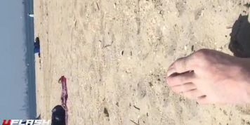 Cock Flash Teens At Beach
