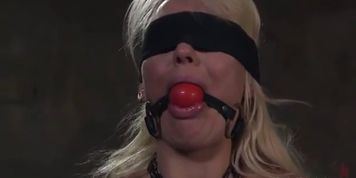 The Senator's Daughter (Kenzie Taylor, Ramon Nomar)