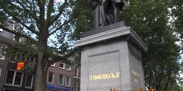 Dutch prossie swallows