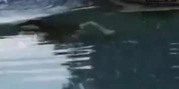 ala mierda