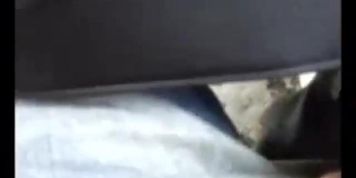 Woman jerks off exhibitionist on bus