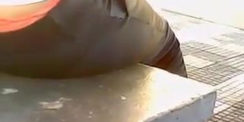 Calcinha coroa aparecendo sentada no ponto