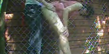Naughty outdoor quickie gets caught on tape