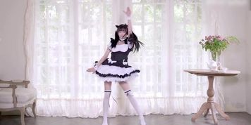 PMV JAV 13??