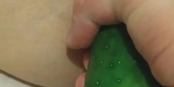 Pepino en pussy