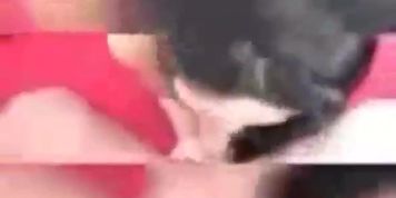 Compilado compilation