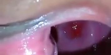 Pussy Close up (inside view of vagina)