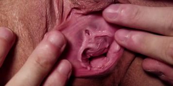 Pussy Inspection