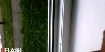 window flash for mature