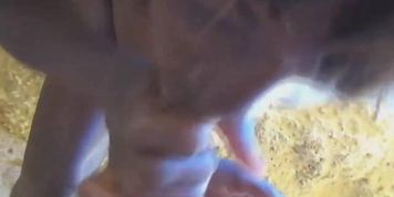 Threesome beach fuck with ebony and friendisxnll1r