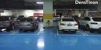 Chinese Exhibitionism 20
