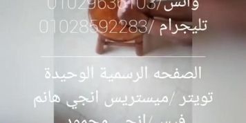 Mistress Enjy falaka(arabic speech), subscribe for more