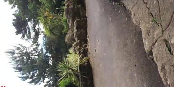 Big dick flash to girl in public