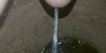 Pee in the POT