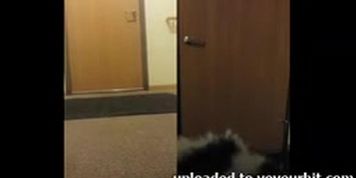 Wisconsin girl flashing the delivery guy - nicolo33