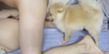 korean - video 4