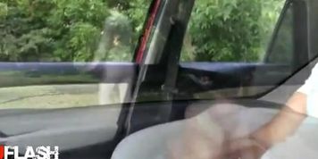 Dickflash Compilation