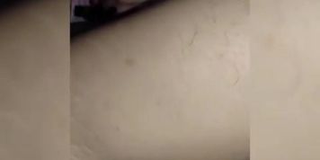 Hot Wife Swap: Crisanto999 and Estefani in Steamy Asslicking Action