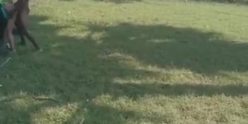 Desi Group Sex In Outdoor Village - Village Outdoor