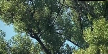 Unknown Breasts Scene  in Raduz A Mahulena