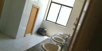 Chinese Girls Go To Toilet.308