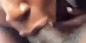 SWALLOW dat NUT