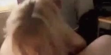 fun with his balls