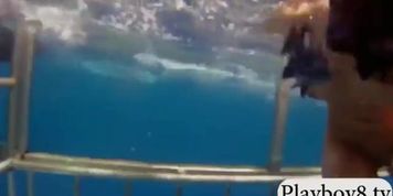 Sexy hot babes swimming with the shark and like snowboarding